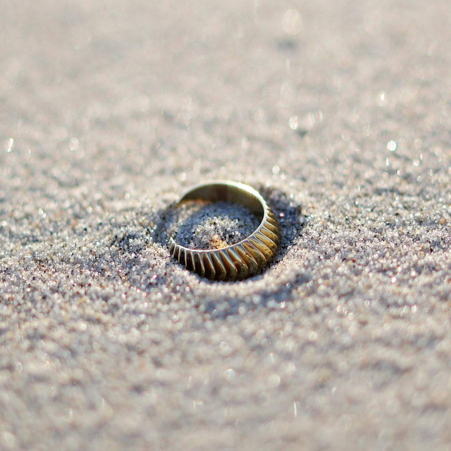 The Shell Ring